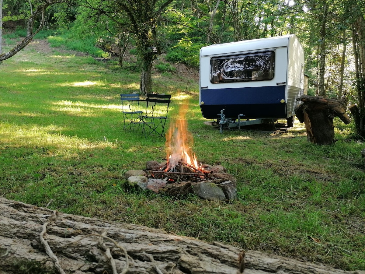 Charmante caravane au calme