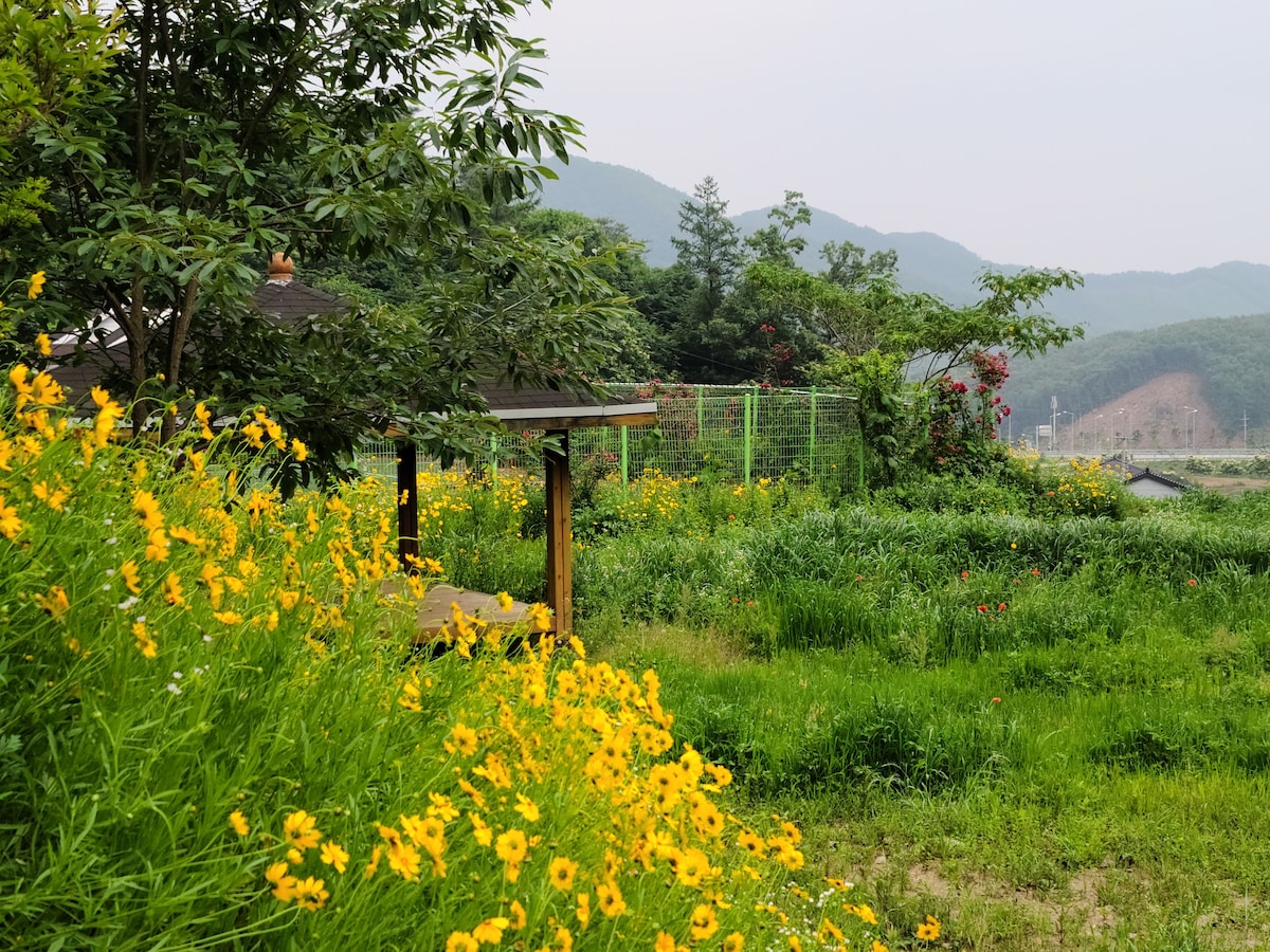 奇尔加普山野花山（ 7天课程）