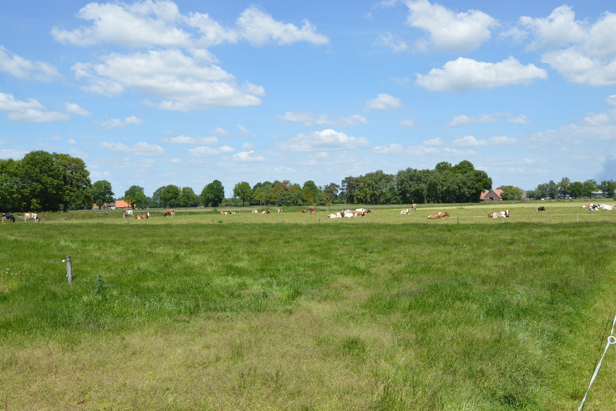 位于哈克斯伯根（ Haaksbergen ）漂亮农舍公寓（ Pretty Farmhouse ）