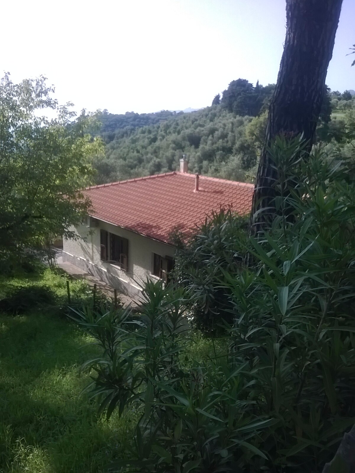 Casa vacanze "I leoni"