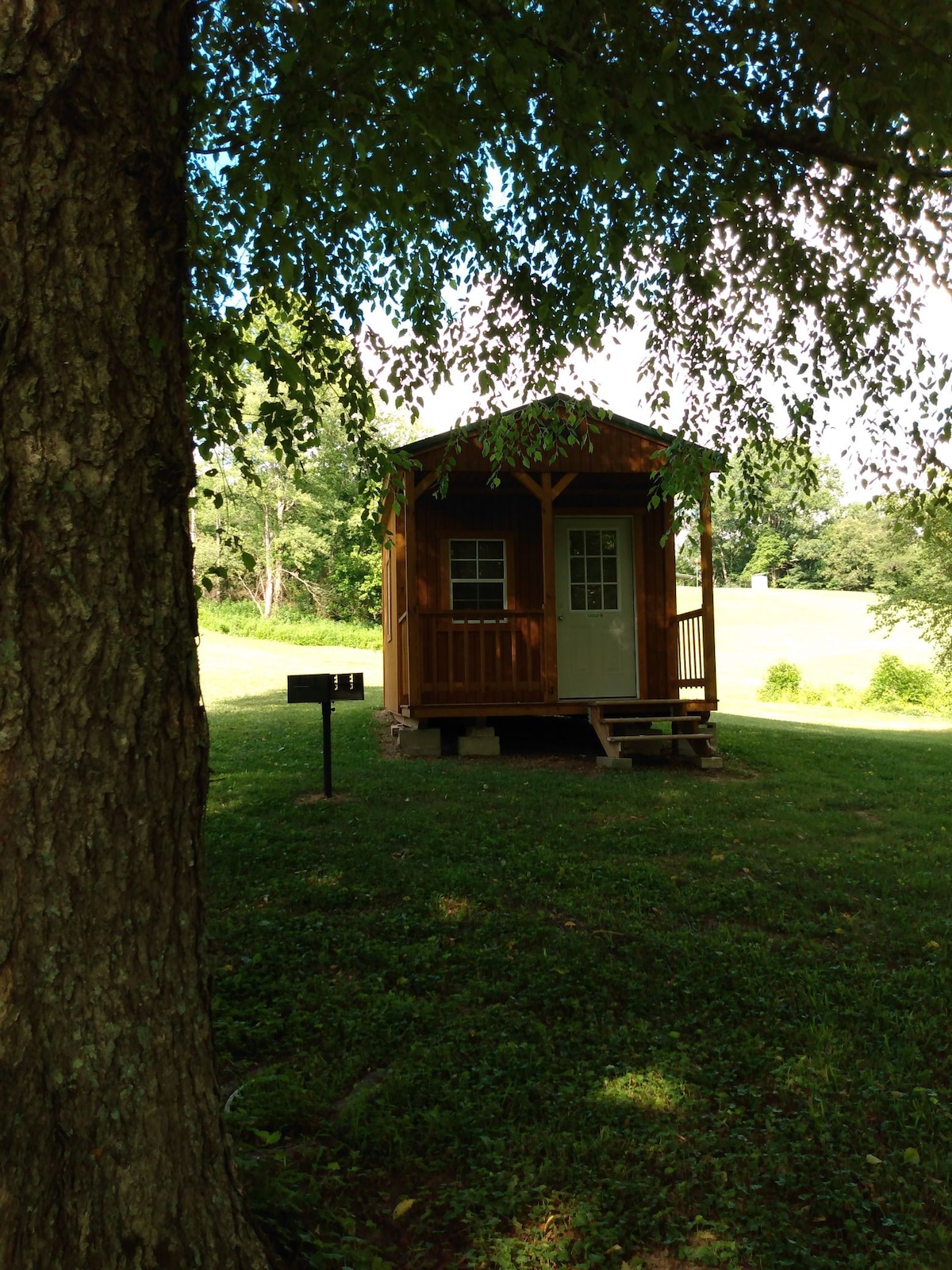 Summer Shoals Cabin # 3. 多么偏僻的远道景观！
