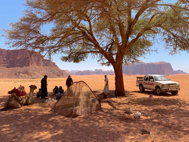 Wadi Rum Village的民宿