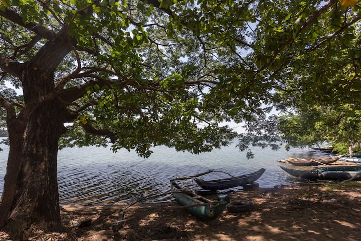 Batticaloa的民宿