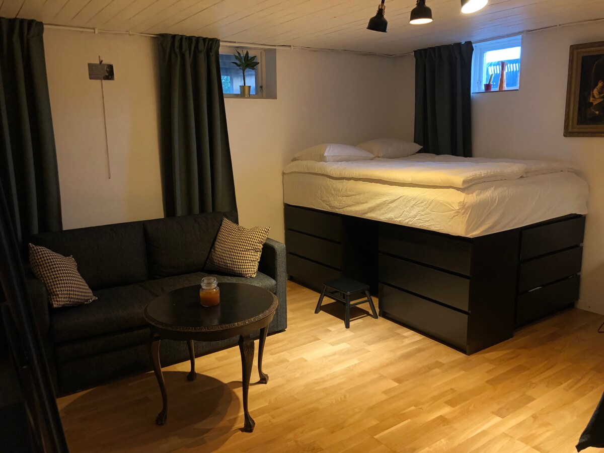 位于哥德堡市中心的现代化单间公寓