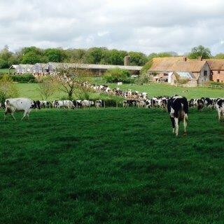 Bluebell Michelmersh Manor Farmstay Peppa Pig.