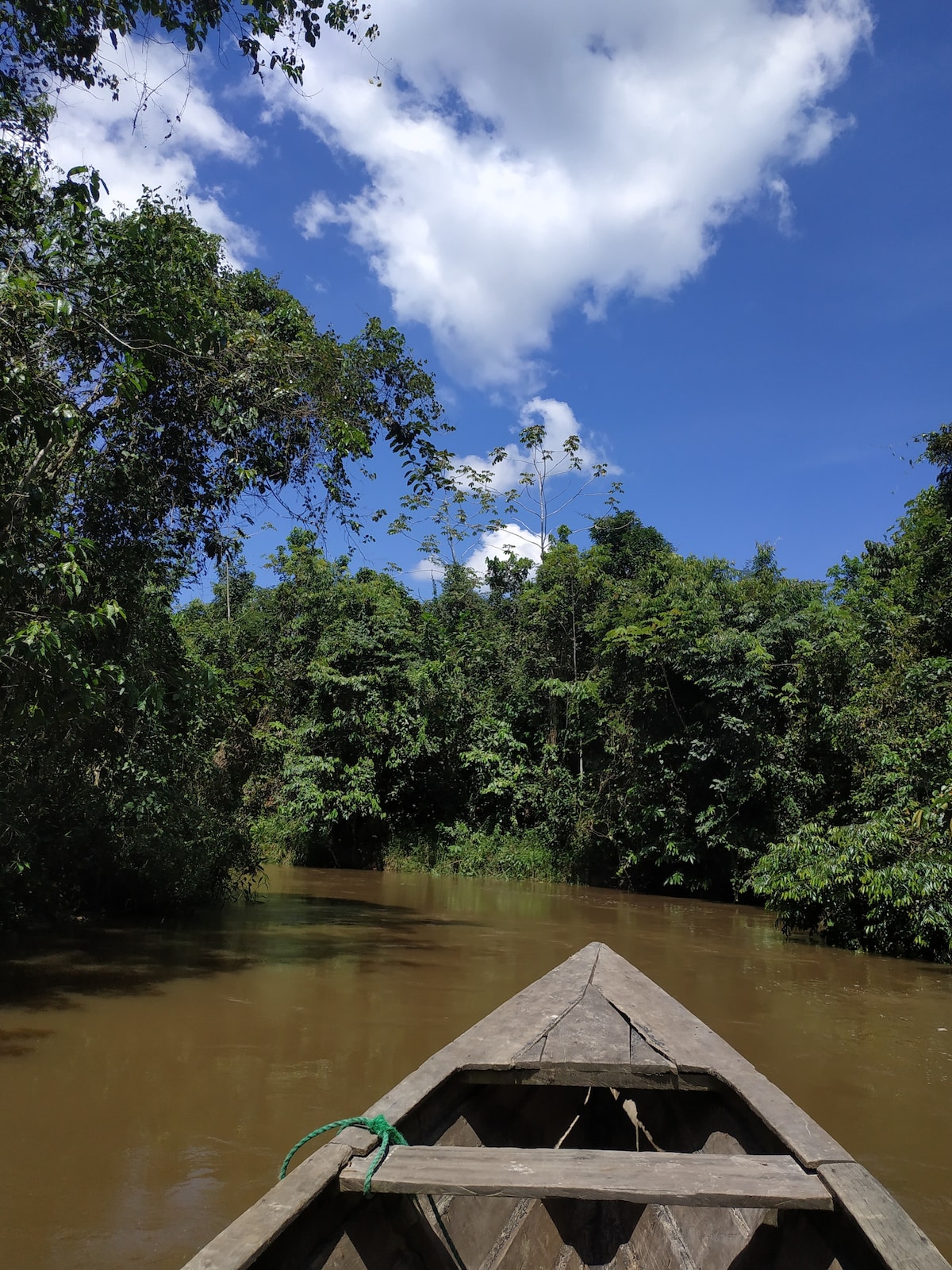 Iquitos, encanto de la selva, full aventura