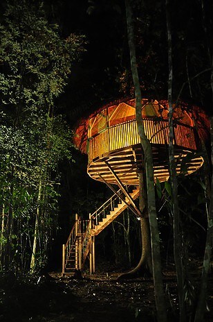 亚马逊丛林中的树屋避难所！