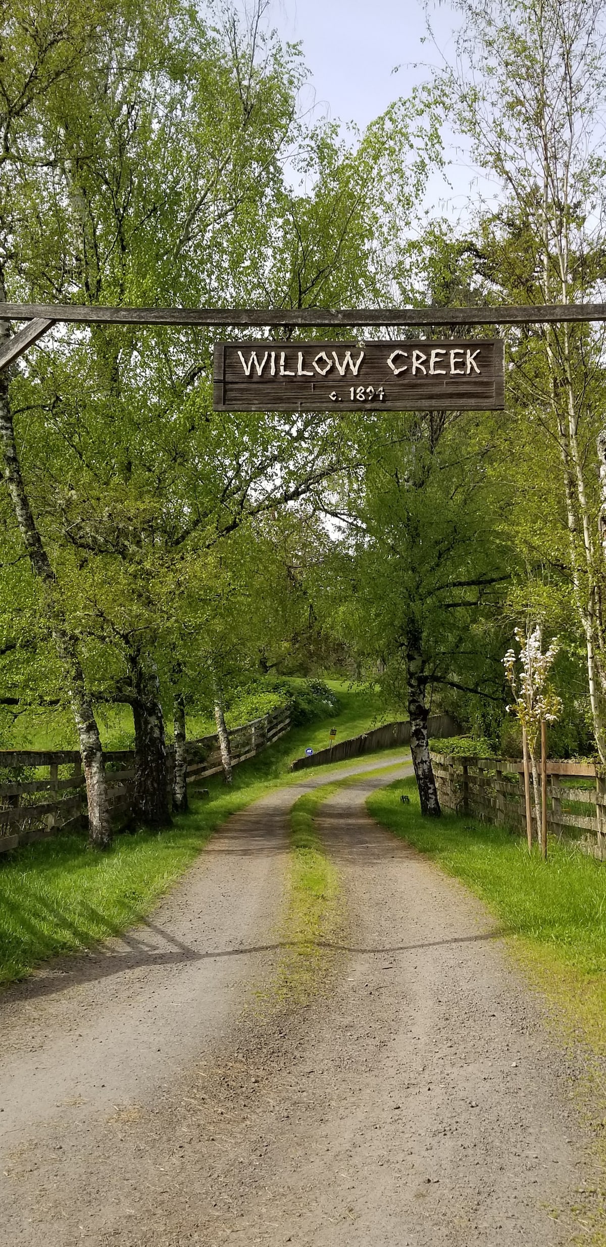 Willow Creek Cottage