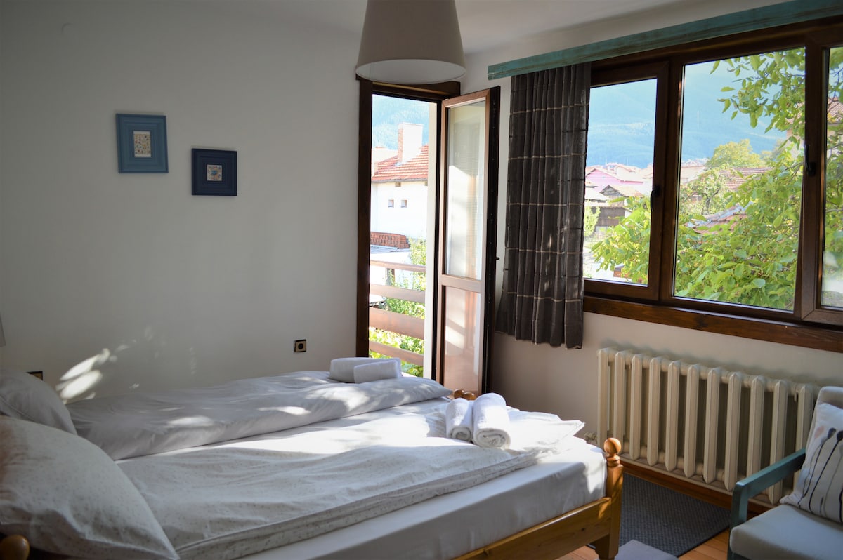 迷人的双人房* Sema Guest House * Bansko