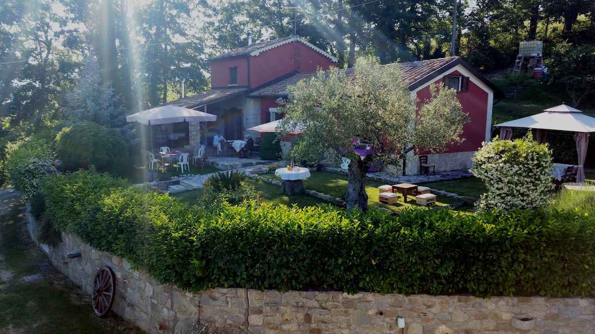 La terrazza sul lago