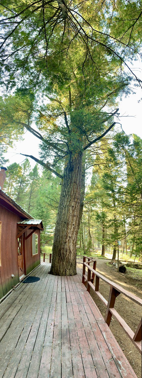 黄石松木屋（ Yellowstone Pine Cabin ） +4张床+无线网络+空调+24分钟