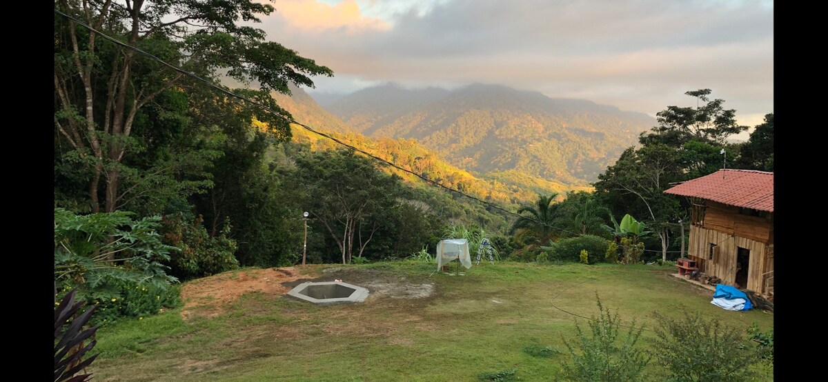 烟草小屋