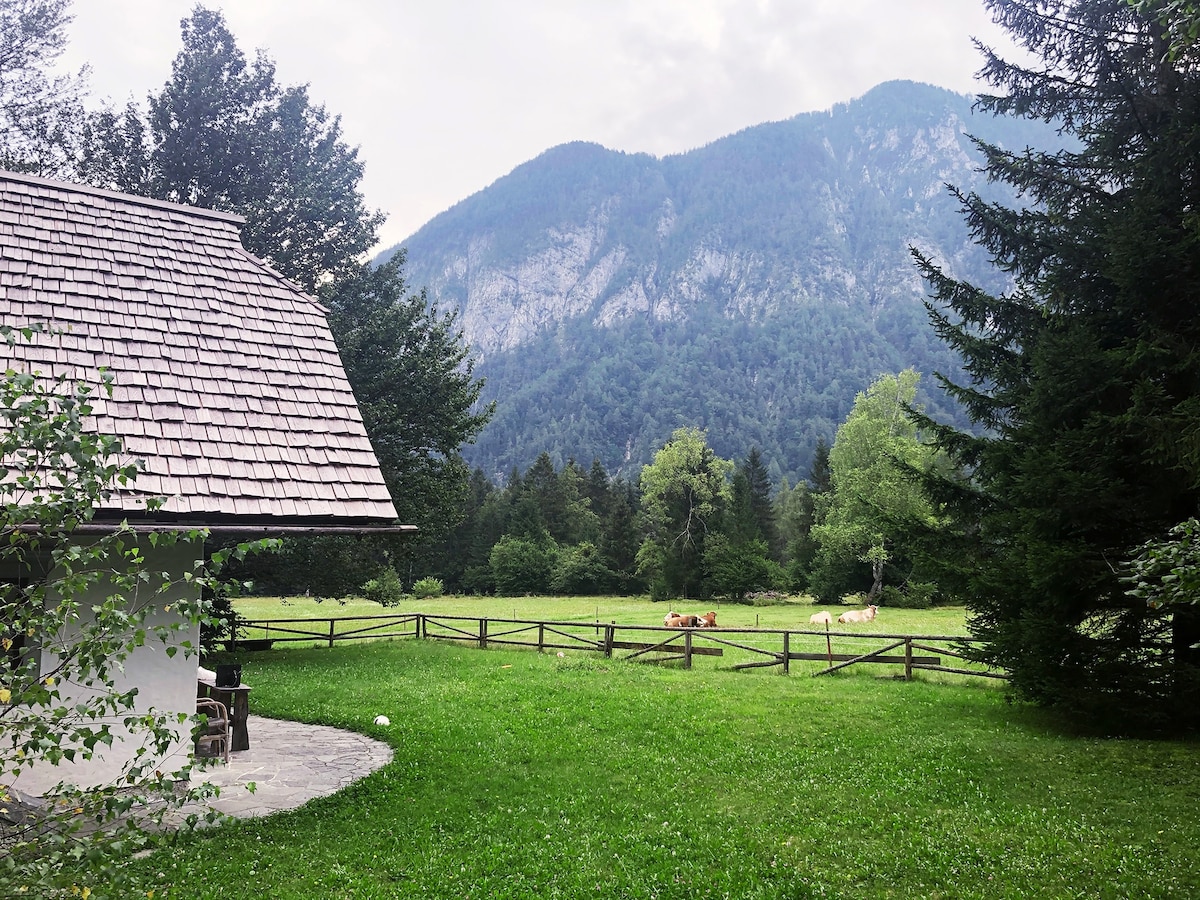 Charming traditional cottage in national park