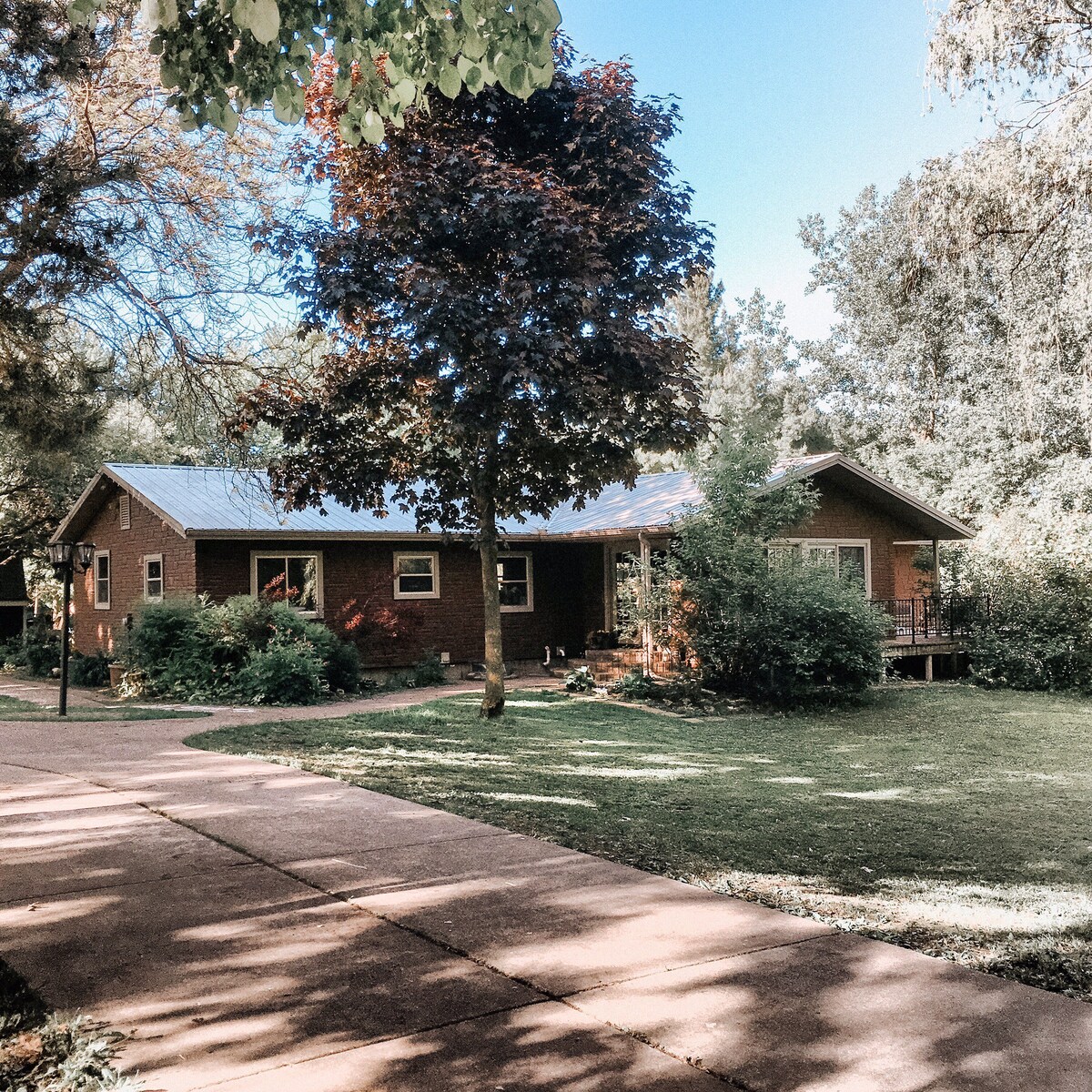 The Hilltop Homestead