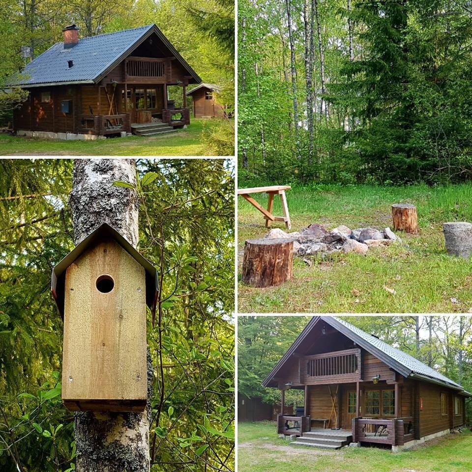 舒适的小木屋，靠近湖泊的桑拿房！