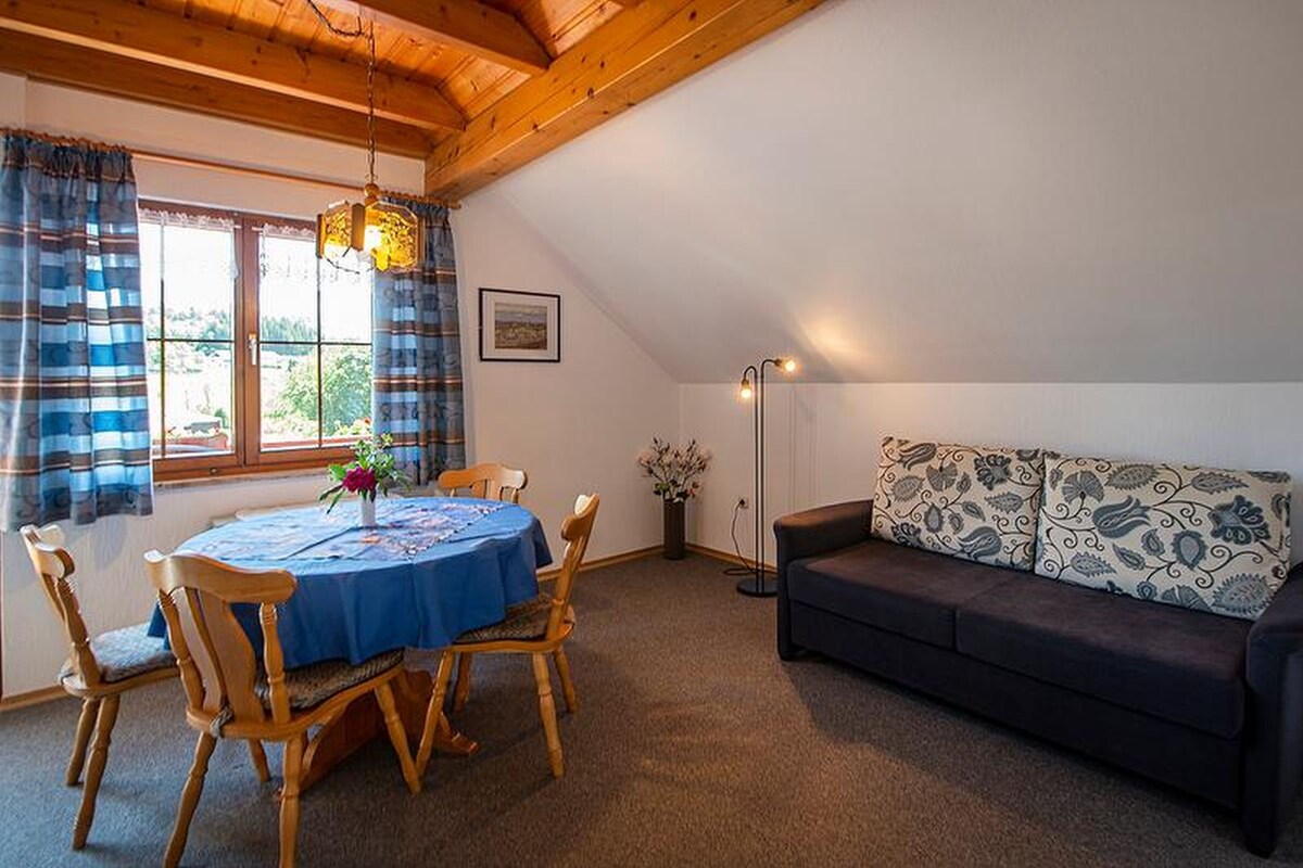 Ferienwohnungen mit Alpensicht, (Lindau am Bodensee), Ferienwohnung 2, 42qm, 1 Schlafzimmer, 1 Wohn-/Schlafzimmer, Balkon, max. 3 Personen