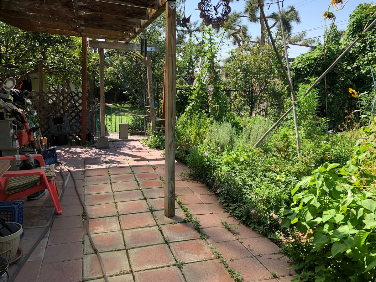 Peaceful Garden Sanctuary Retreat