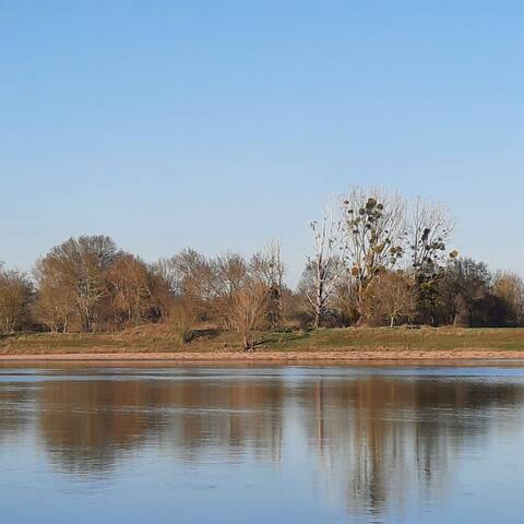 Chalonnes-sur-Loire的民宿