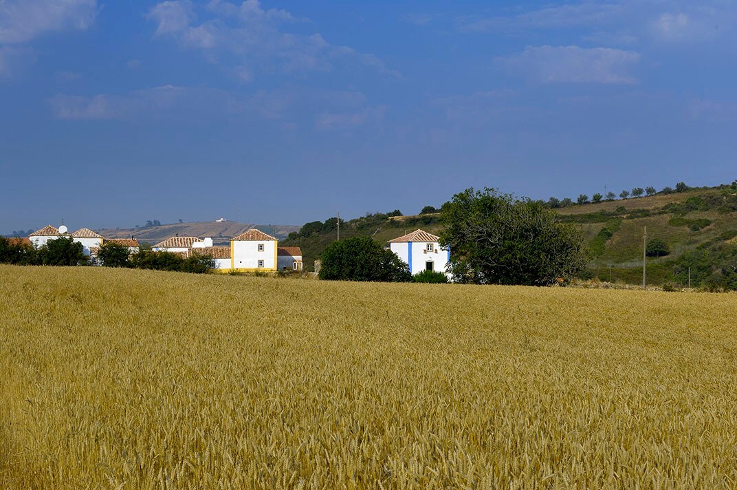 Aldeia da Mata Pequena （ 4人）