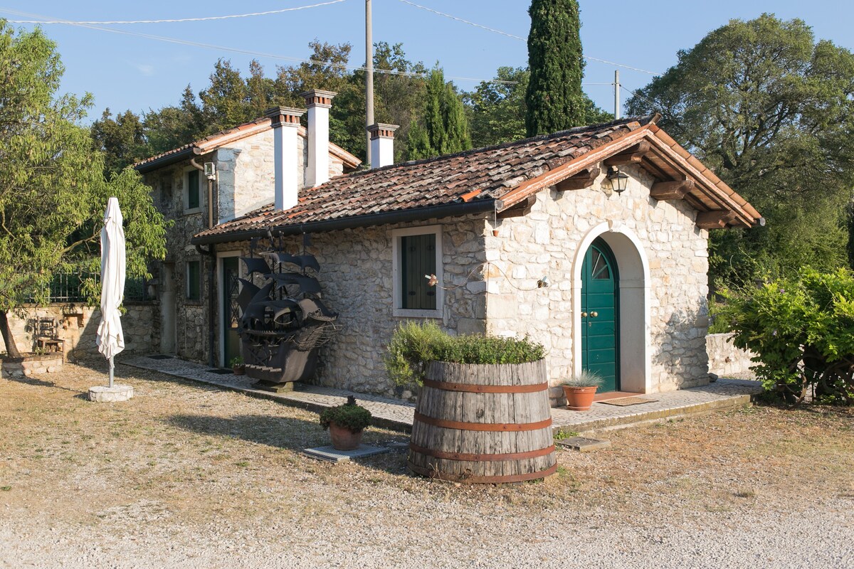 The Thinker 's Refuge - in the Berici Hills