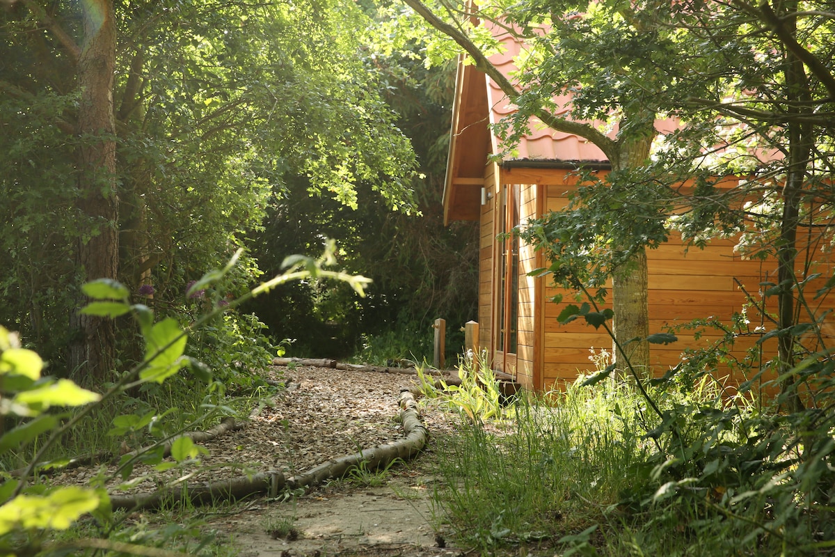 浪漫的林地TinyHouse ，靠近石头环形山谷