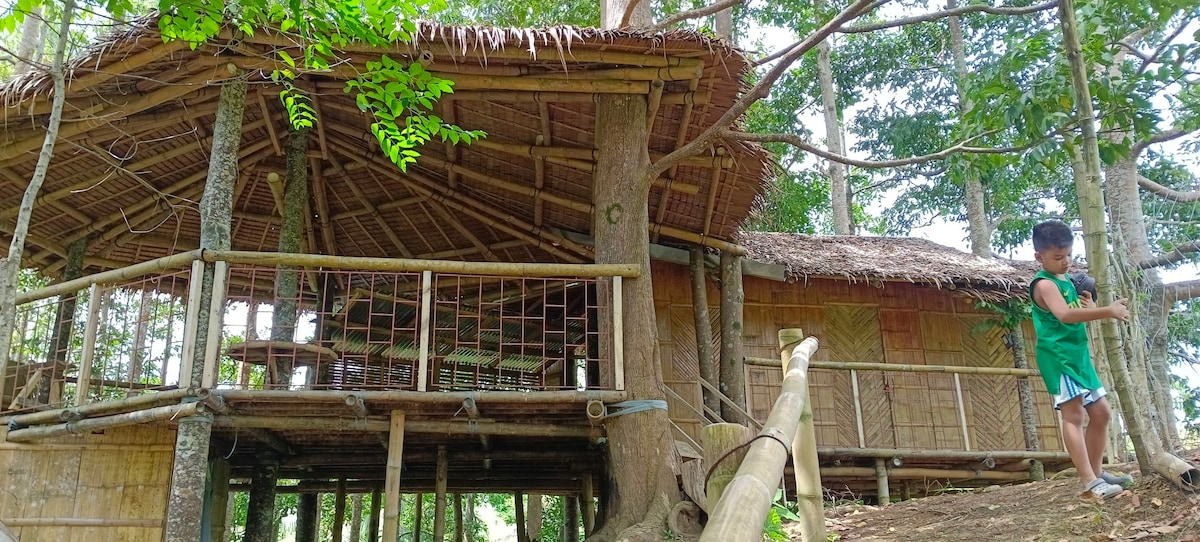 Sombria's Tree House