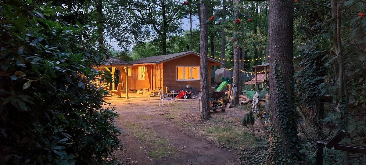 森林里有2间舒适的度假木屋