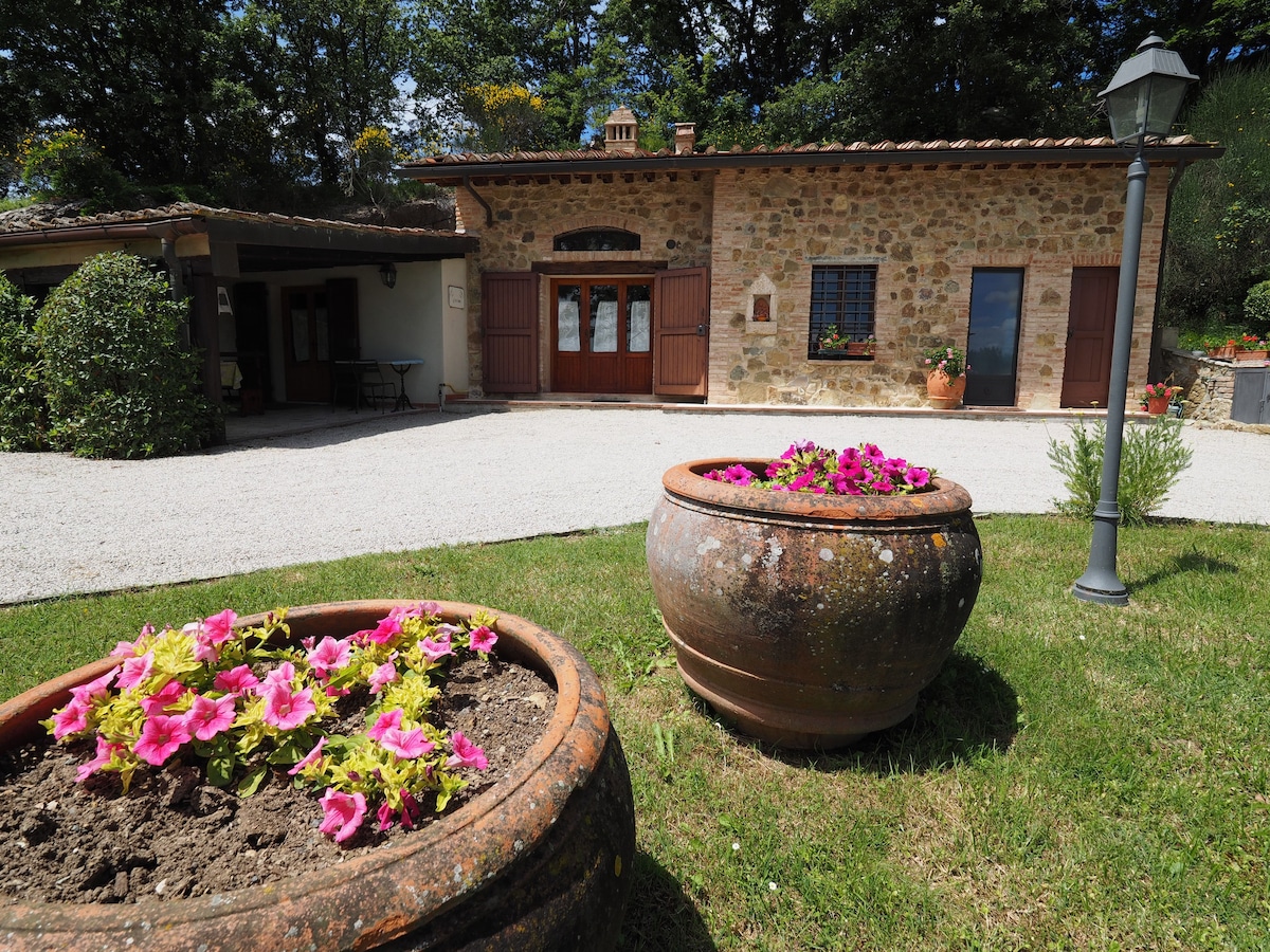 Glicine  romantic cottage in country