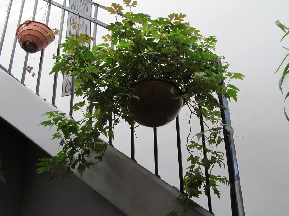 Casa Lautaro.  Habitación luminosa.