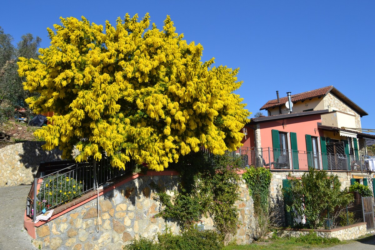 Casa La Mimosa ，在橄榄树中放松身心，欣赏海景