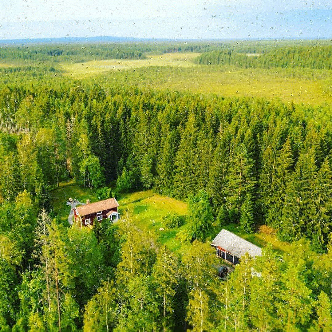 森林中的Herrfallet现代小屋