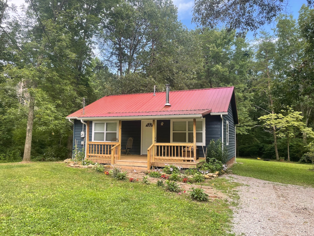 NEW! Cozy Cabin in the Woods w/ Forest trails