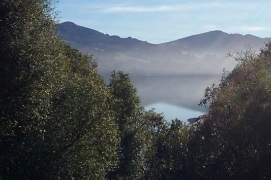 Macandrew Bay Studio Hideaway Otago Peninsula