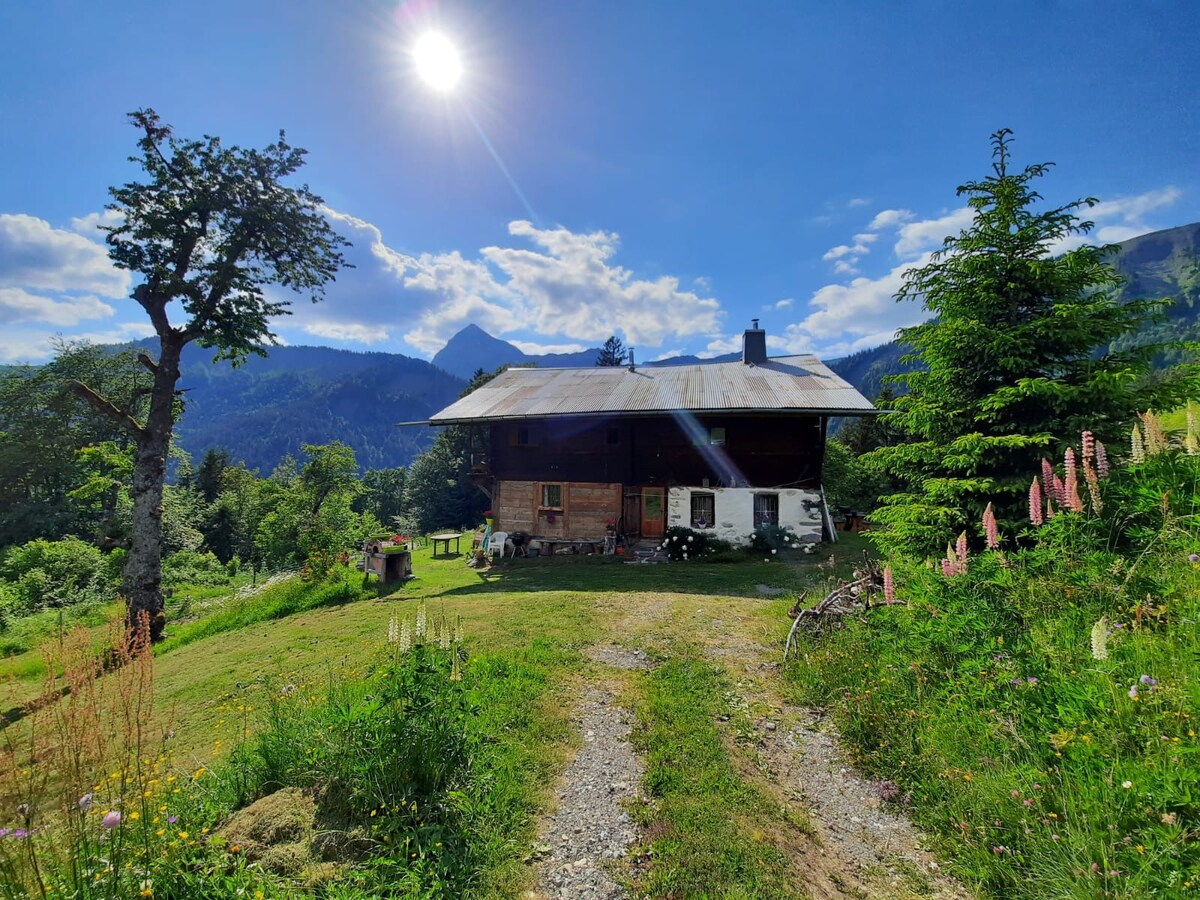 山间正宗高山度假木屋