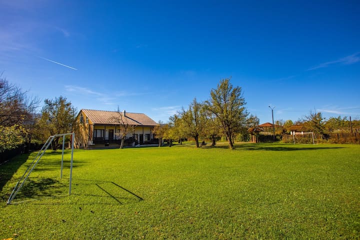 the house has a spacious yard with fruit trees.