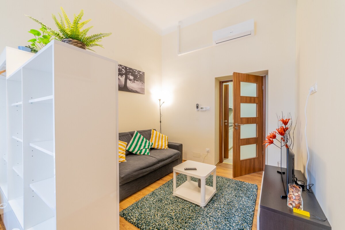 优雅的2卧室公寓，配备空调和@ Astoria中心