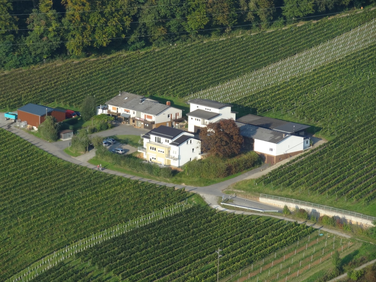 Ferienwohnung auf Heidelberger Weingut