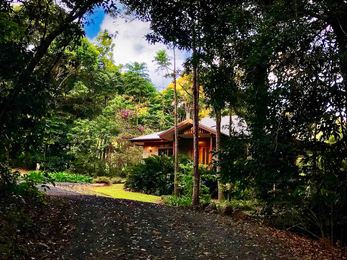 凯恩斯高原-豪华雨林小屋