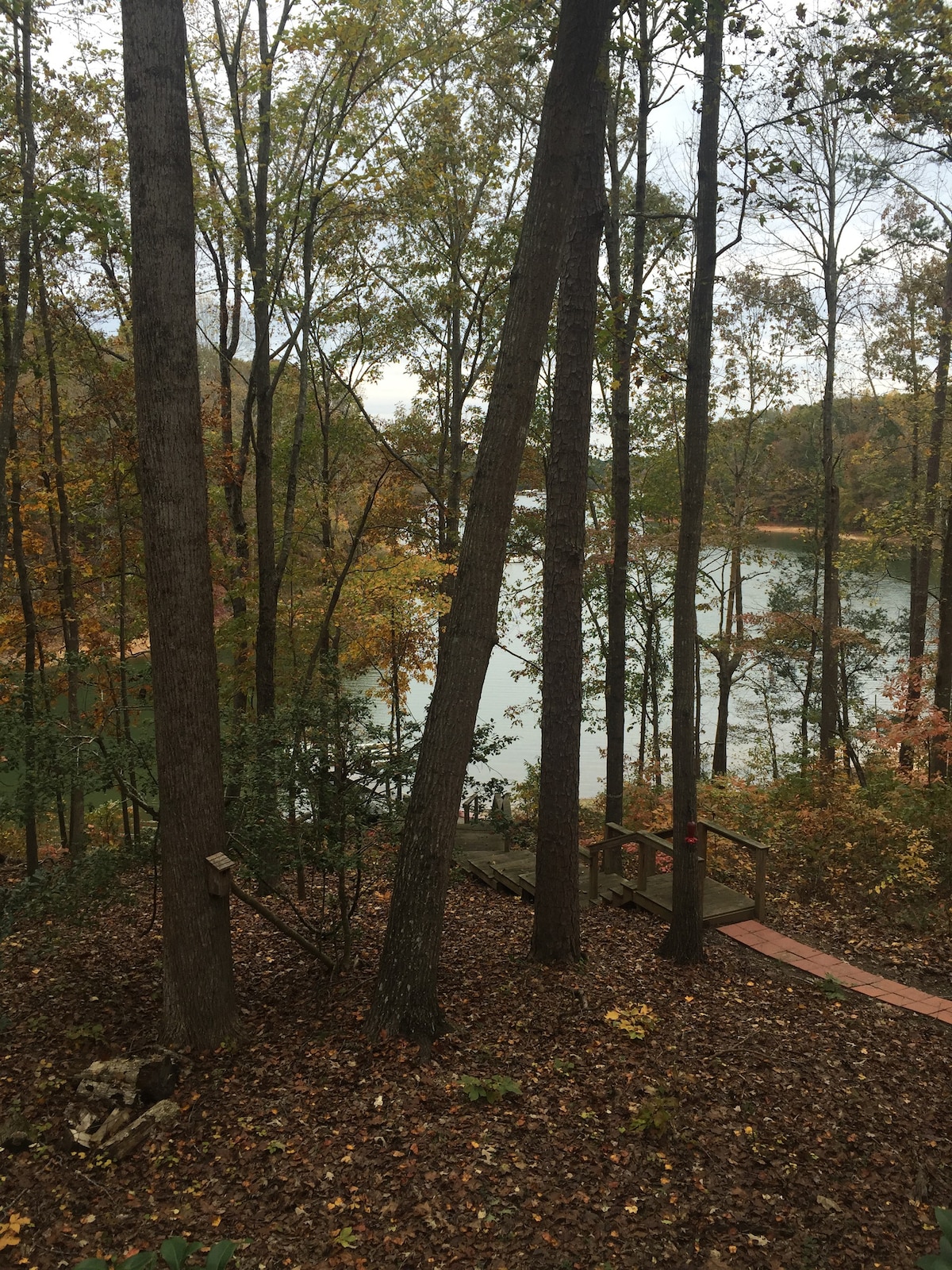 Cottage on the Lake