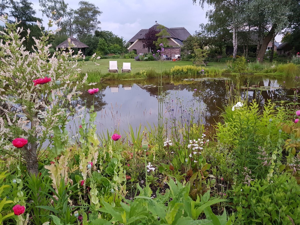 住宿加早餐「In de tuin van Dorth...」