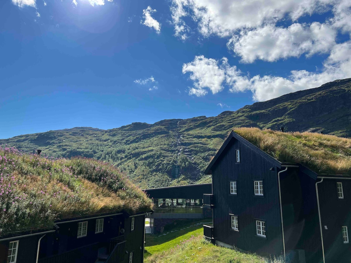 Mountain apartment in Røldal