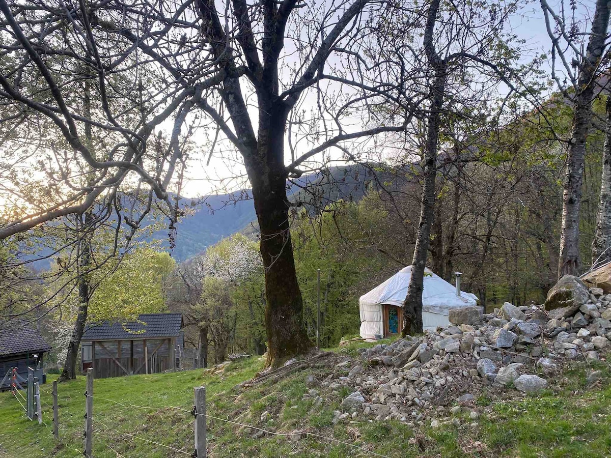 Jurta Cinghialotto agricamping Rasa - Centovalli