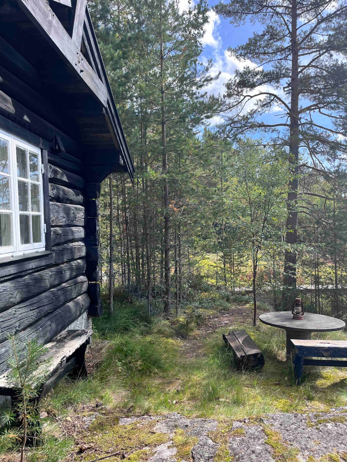 Fredfull  Familiehytte i Skogen