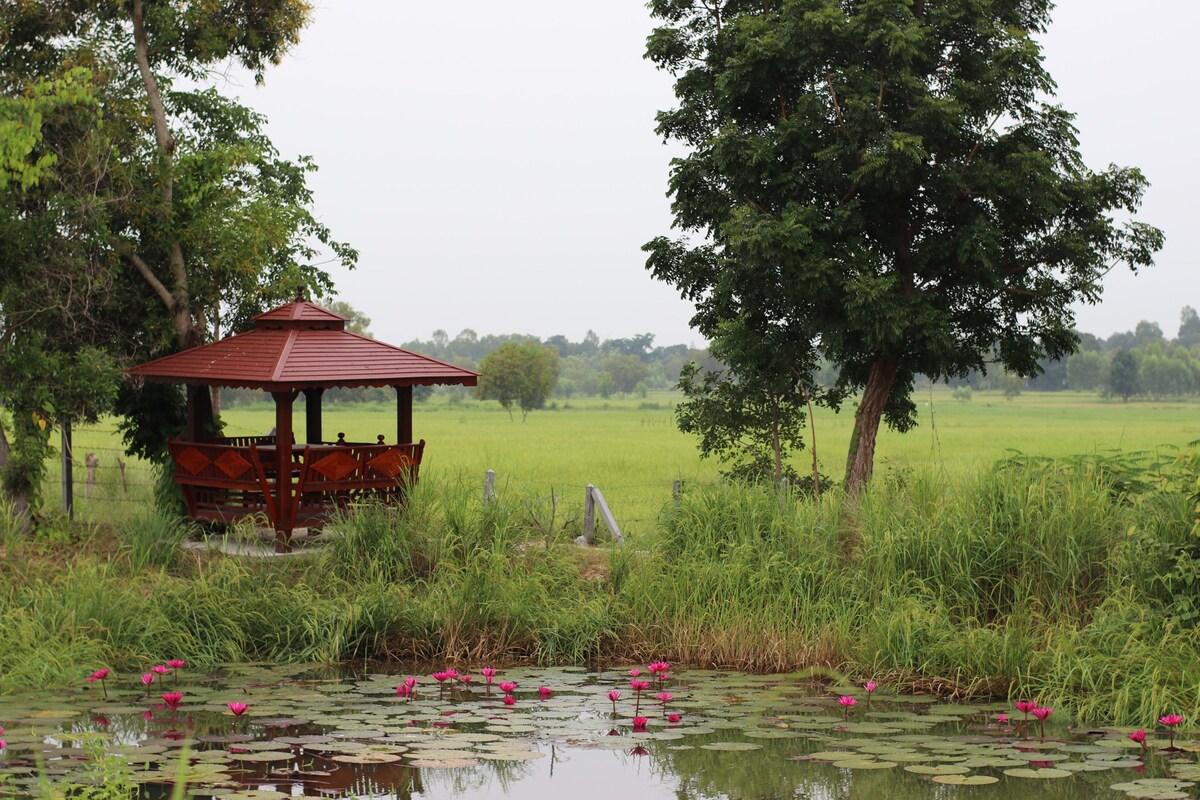 An authentic Thai experience at D&D Farm