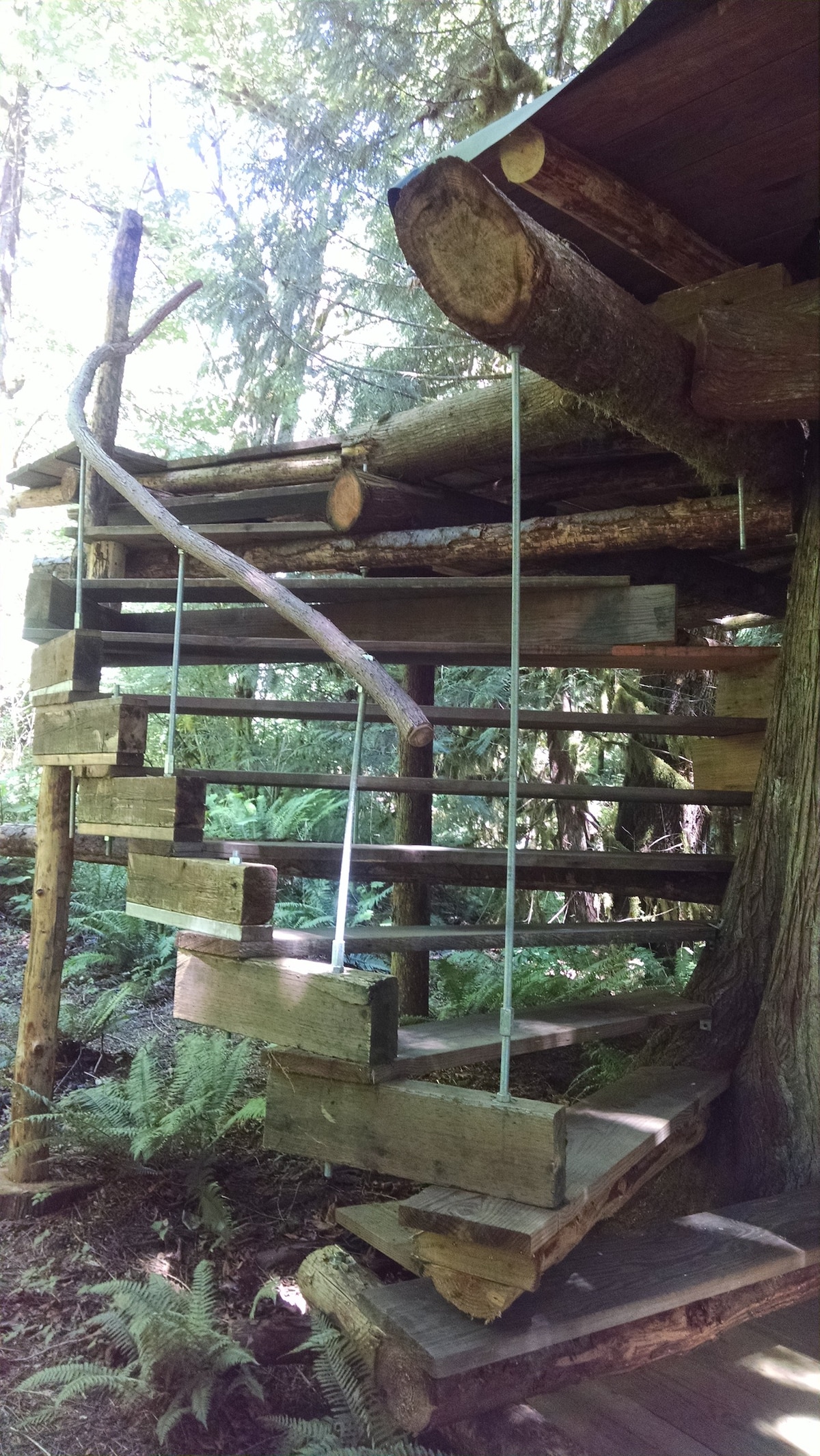 The Eagle 's Perch - Off-Grid Tree-House体验