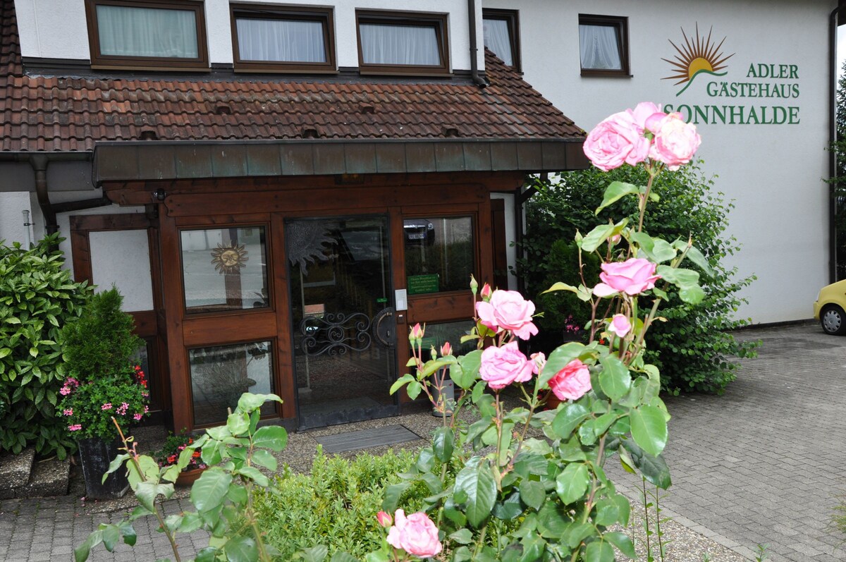 Gasthof Adler Güttingen带客房Sonnhalde （康斯坦茨湖上的Radolfzell ） ，带独立浴室或淋浴间和抽水马桶的双人客房标准