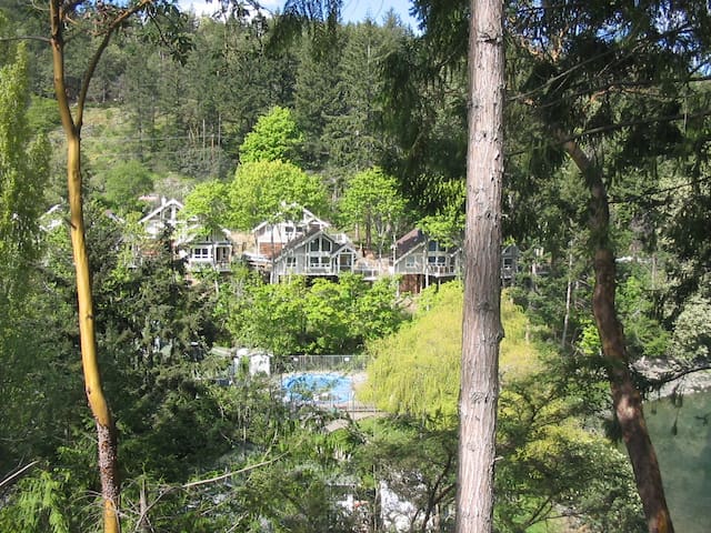 彭德岛（Pender Island）的民宿