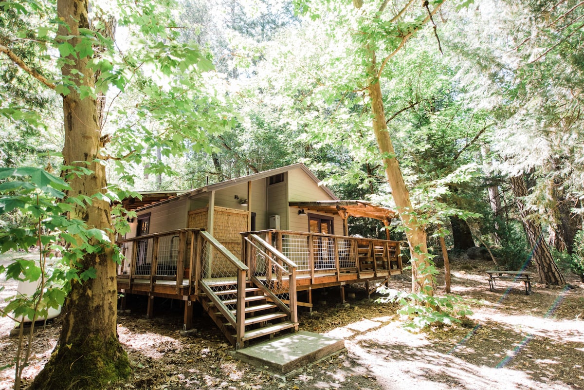 Big Leaf - Gorgeous Creekside Cottage in the Woods