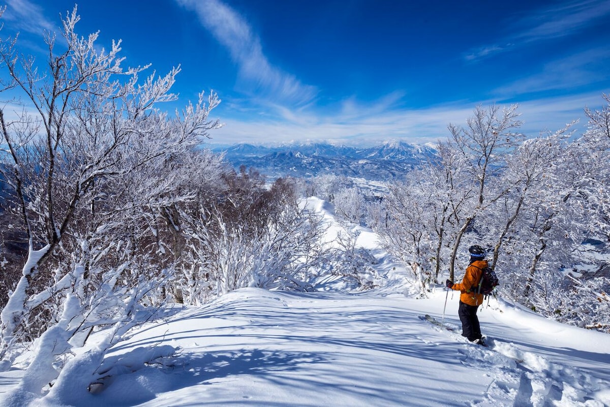 Kaiya Nozawa Lodge -距离山坡50米