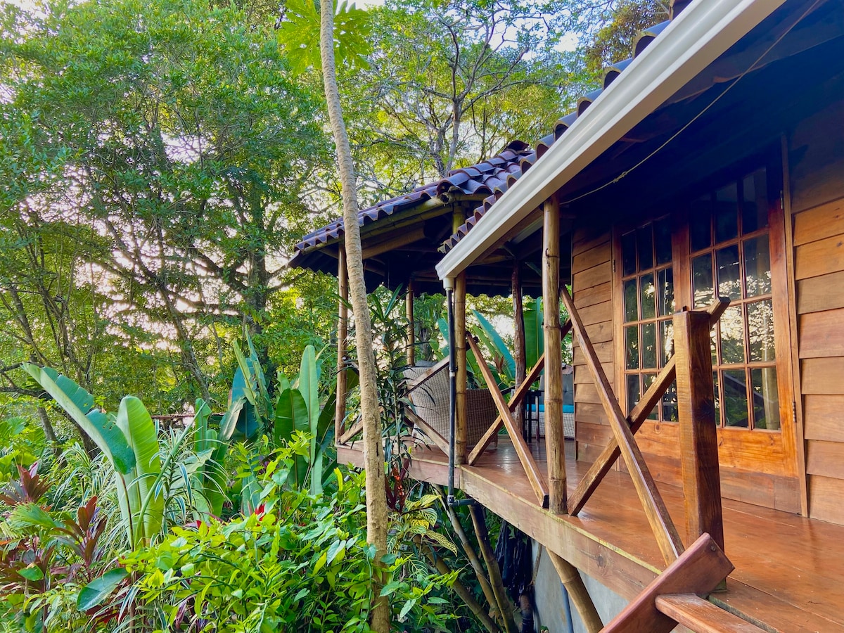 Breezy Ocean View Jungle House